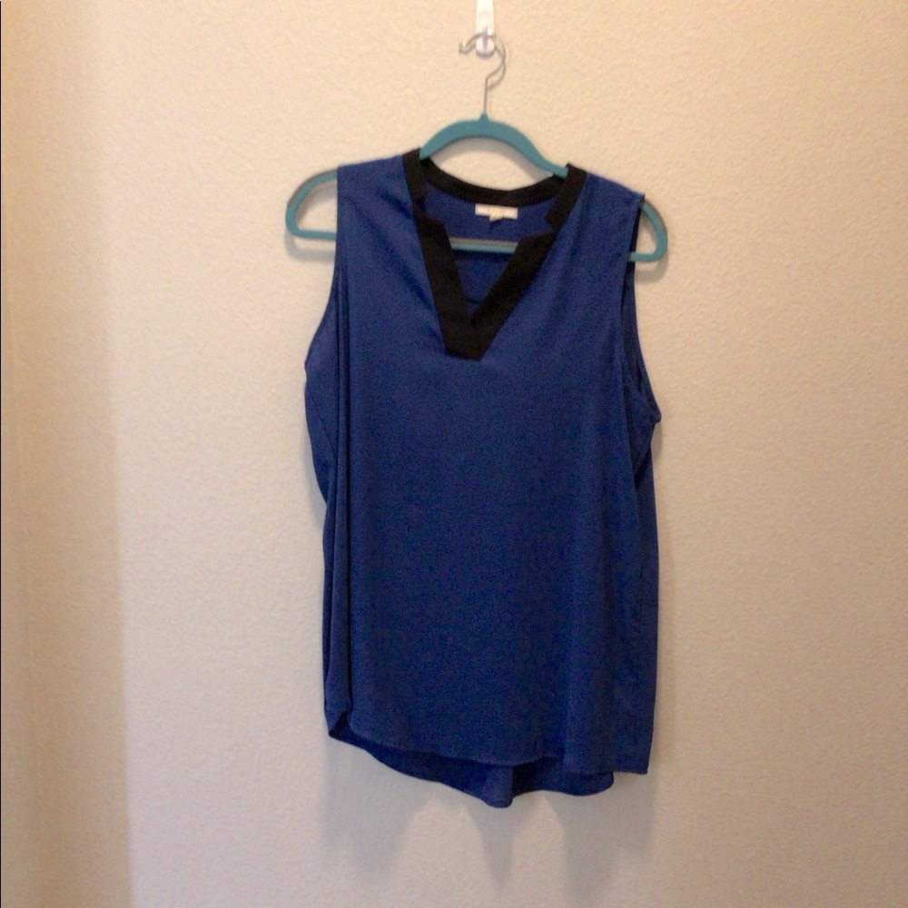 Pleione Blue V-neck Blouse - M